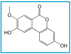 Urolithin C 8-Methyl Ether